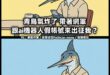 青鳥aka哥布林aka噁心的蟾蜍aka政治野狗aka1450
最擅長的
就是看起來，他們那邊很多人一起出嘴的網路嘴砲霸凌…