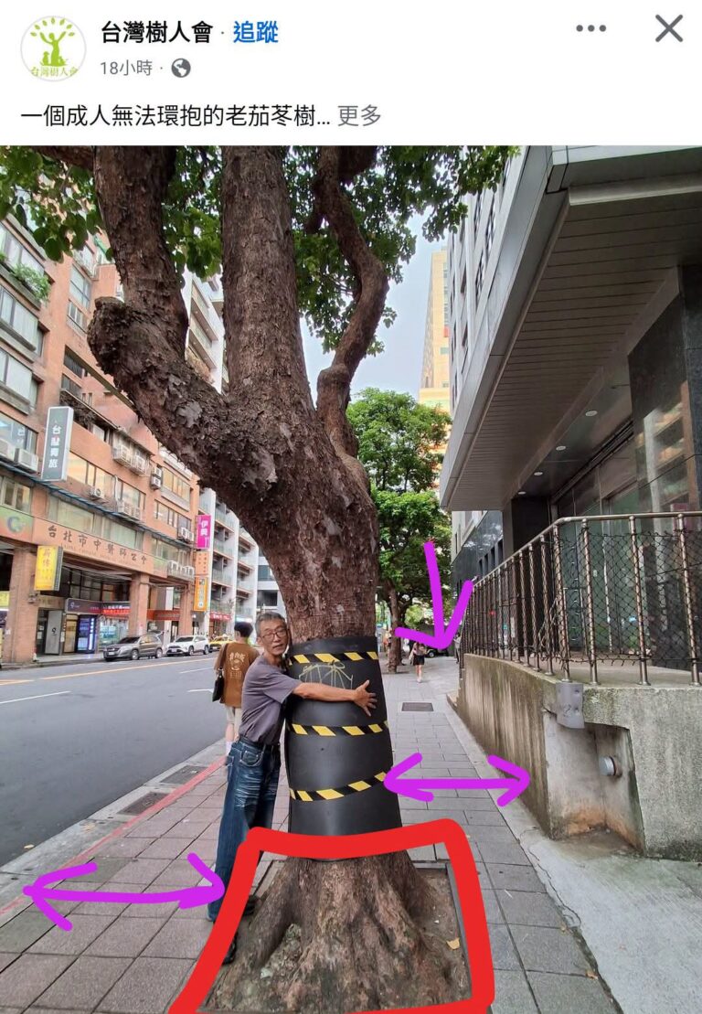 1.這麼大的樹，他的樹穴就這樣一小塊你覺得合理嗎？颱風來不會倒？
2.如果你要擴大樹穴，旁邊人行道還要走嗎？
3.承上，...