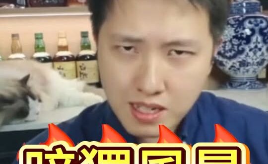 呏呏呏！人人都是「暗獨」？#台獨 #兩岸 #大陸 #鄭麗文【歷史哥快報｜楊升、李易修】