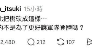 *任何事發生在台北
青鳥：是不是共軍要登陸？

颱風季剪樹也能扯共軍登陸，現在是越戰還沒結束，一棵樹上可以躲47個國軍，...