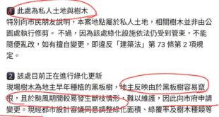 地主：黑板樹維護很麻煩，我想換種別種樹
市府：OK
側翼：蔣萬安樹木殺手！砂仁啦大家快來看吶！

北七耶。