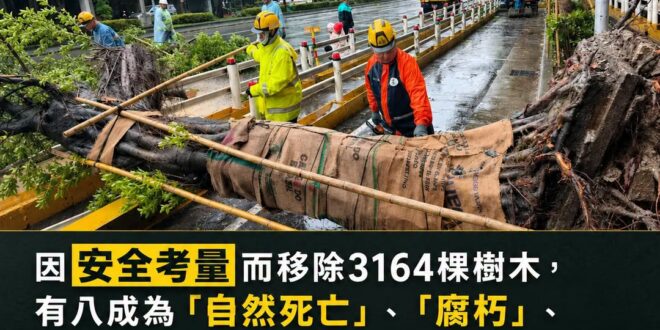 少一棵危險樹，可以再補種。

但如果少的是一條人命，誰都補不回來。

這兩年台北市植樹已經超過一萬多株，比移除的樹多了好…