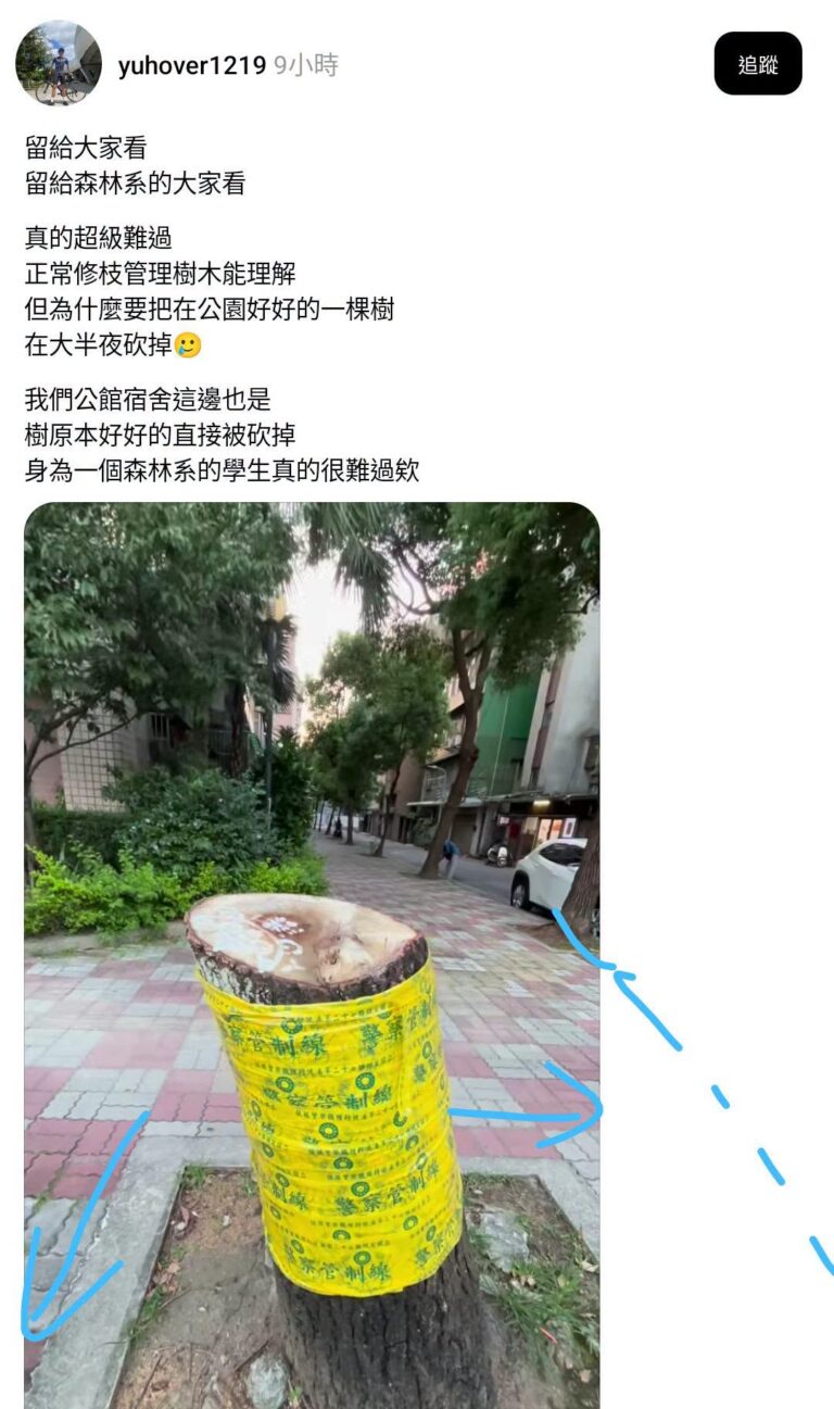 我就在等這種傻子出來當範例，大家自己看一下藍線的部分，很顯然這顆樹的位置是在兩條路交叉口的 #轉角處，依照中央法規「不得...