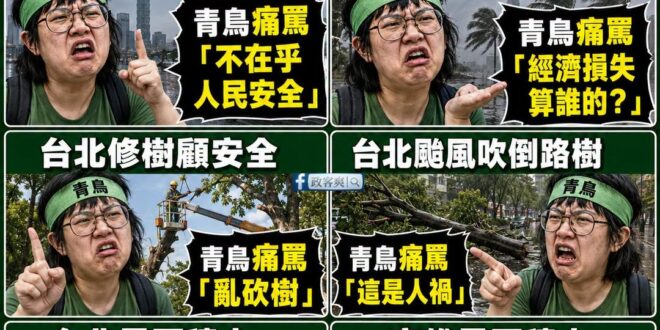 我相信只要一路操作颱風議題，那麼沈伯洋年底就可以高票直取台北市長大位

要是繼續打下去，沈伯洋甚至能在2028年跟曹興誠…