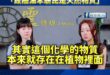 戴瑋姍「懶覺比雞腿」後再創金句「致癌油苯駢芘是天然物質」

民進黨議員戴瑋姍繼名言「懶覺比雞腿」之後，這次她跨足化學與生...