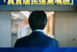 改編民進黨宣傳片「真實版民進黨嘴臉」