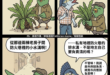 私人土地的水溝要市府去清 這合理嗎？