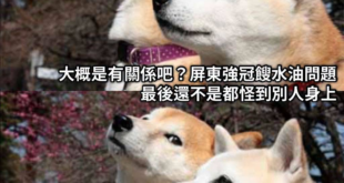 誰叫吹哨者南僑顏色不對，顏色不對就錯了