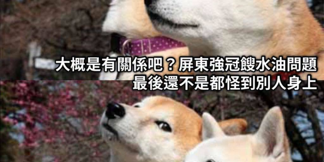 誰叫吹哨者南僑顏色不對，顏色不對就錯了