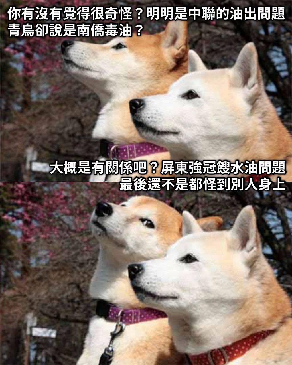 誰叫吹哨者南僑顏色不對，顏色不對就錯了