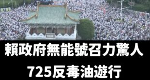 謝謝民進黨跟賴政府的努力，這幾天傲慢沒人負責、狂講幹話催出一堆人潮

今天這麼熱，而且才下午五點欸