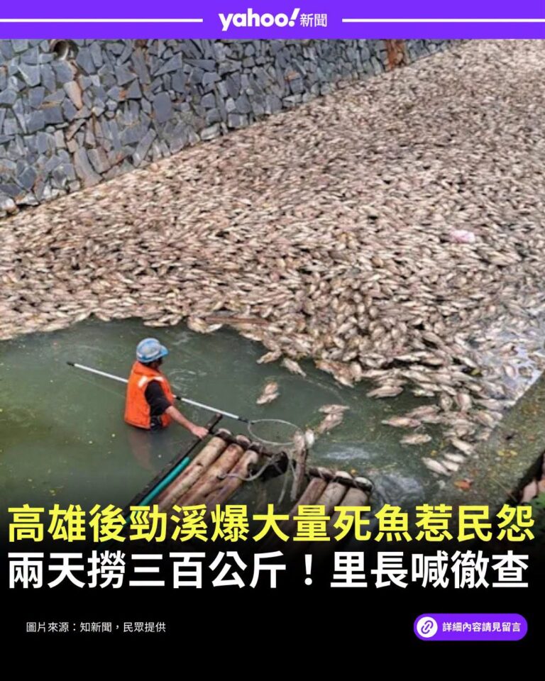 高雄市楠梓區後勁溪自昨日起出現大量魚群暴斃，發白腐敗的魚屍隨水流漂入右昌大排，濃烈惡臭引發居民抱怨：「臭得受不了！」

...