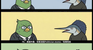 鶄：是這樣沒錯但不是這樣