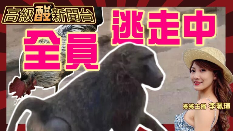 【高級酸新聞台#4】全員逃走中／我就狒／鯊鯊主播 20230327 @高級酸新聞台AmazingNews