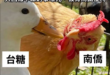 死南僑，不死台糖