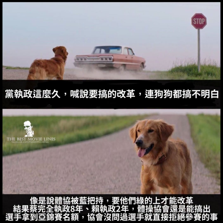 不要問我為什麼
我也不知道
