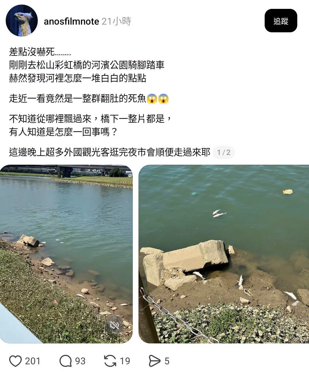 台北的「一整群死魚」：目測五條
高雄的「一整群死魚」：見圖二、三

謝謝青鳥幫我們監督市政，五條死魚感謝您。