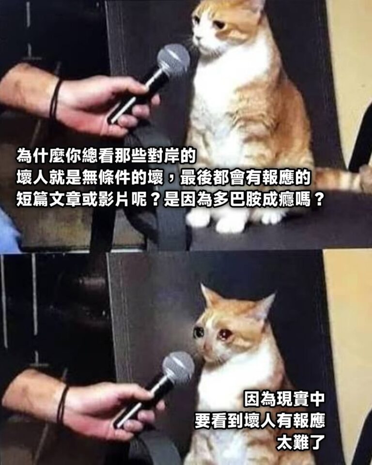 現實中求不得，那我虛擬中求
總行了吧？
